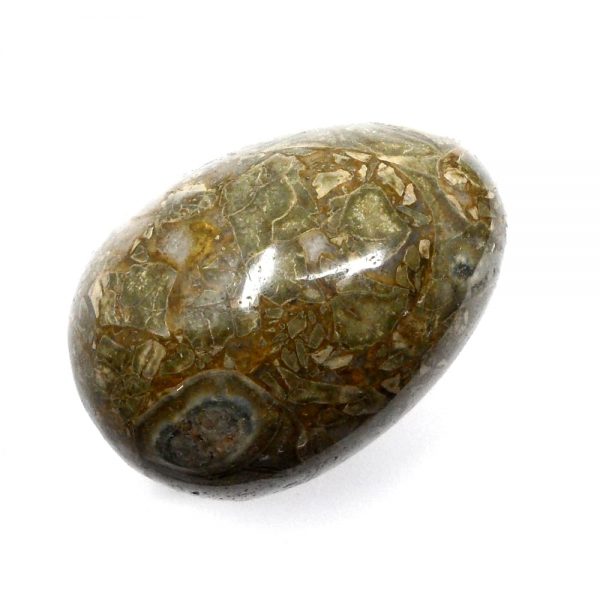 Vesuvianite Egg All Polished Crystals egg