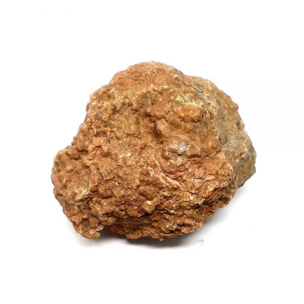 Coprolite Specimen Fossils coprolite