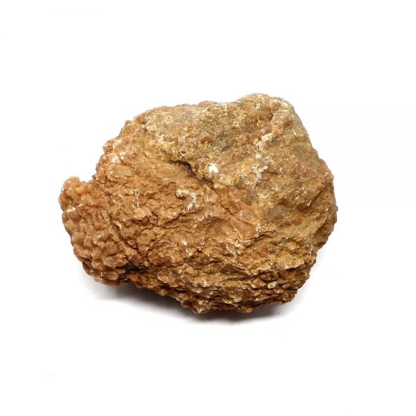 Coprolite Specimen Fossils coprolite